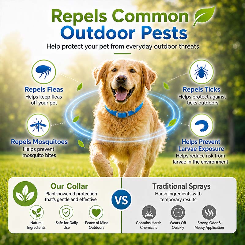 🐾 Natural Essential Oil Pet Pest Repellent Collar 🦟Safe Flea & Tick Protection for Dogs & Cats 💚