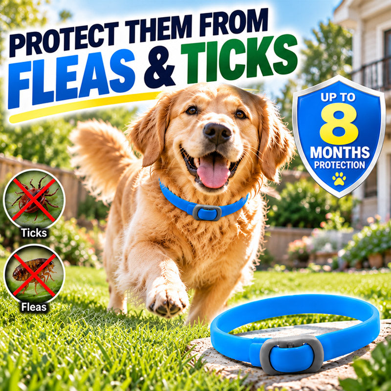 🐾 Natural Essential Oil Pet Pest Repellent Collar 🦟Safe Flea & Tick Protection for Dogs & Cats 💚